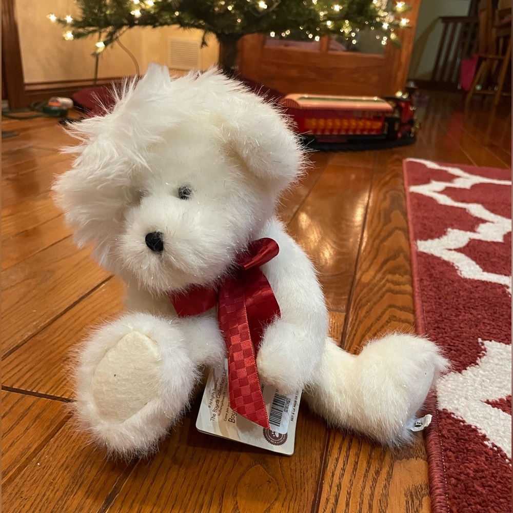 Boyd’s bear
